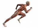 Ejercicios para correr más rápido /tips para corredores